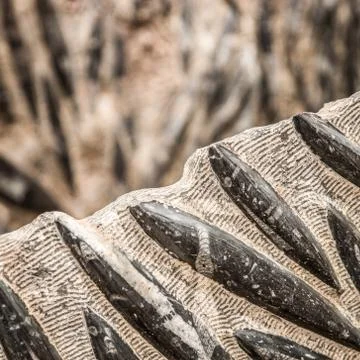 Closeup shot of a part of a statue made of black and white patterns Stock Photos