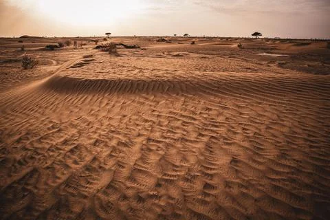Closeup shot of patterns on the surface of sand made under the influence of wind Stock Photos