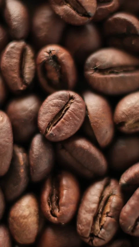 Closeup shot of a pile of roasted coffee beans rotating under bright natural Stock Footage 308902877