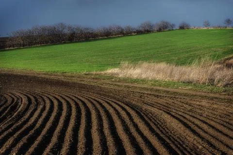 Closeup shot of plowed field ready for cultivation Stock Photos