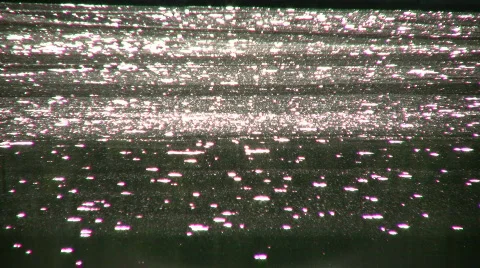 Closeup shot of pollution floating on pond's surface (High Definition) Stock Footage 364879