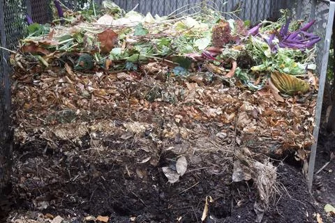 Closeup shot of the process of compost in the garden at different stages Stock Photos