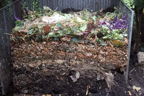 Closeup shot of the process of compost in the garden at different stages Stock Photos