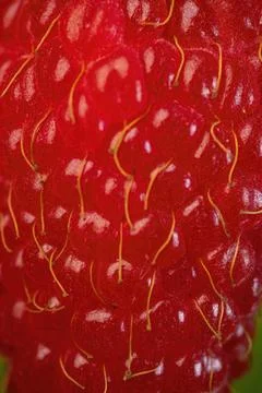 Closeup shot of raspberry texture Foto stock