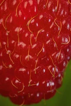 Closeup shot of raspberry texture Stock Photos