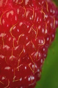 Closeup shot of raspberry texture Stock Photos