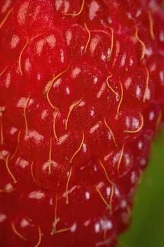 Closeup shot of raspberry texture Stock Photos