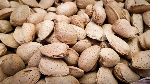 Closeup shot of raw almonds in the shell Stock Photos