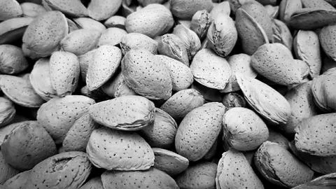 Closeup shot of raw almonds in the shell Black and White Style Stock Photos