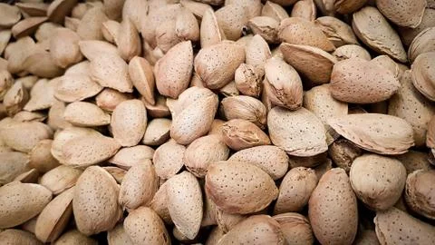 Closeup shot of raw almonds in the shell Stock Photos