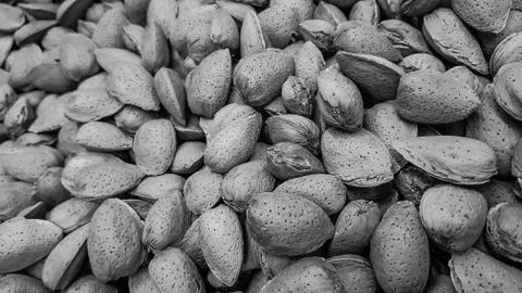 Closeup shot of raw almonds in the shell Black and White Style Stock Photos