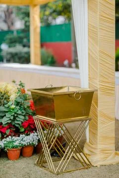Closeup shot of a rectangular golden bucket on a golden chair in a flower shop Stock Photos