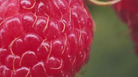 Closeup shot of a red car Stock Footage 247554393
