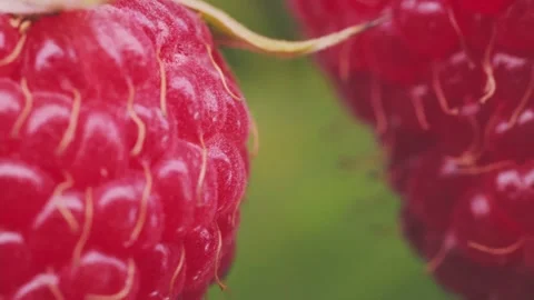 Closeup shot of a red car Stock-Footage 248523521