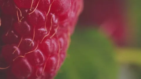 Closeup shot of a red car Stock Footage 248624734