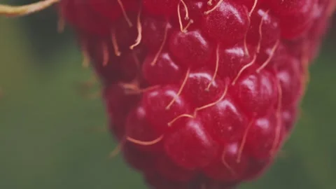 Closeup shot of a red car Stock-Footage 248756041