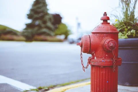 Closeup shot of a red fire hydrant with a blurred background 스톡 사진