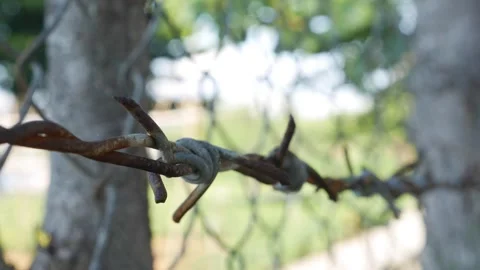 A closeup shot of a rusty barbed wire fence stretched across metal poles under a Stock Footage 312213476