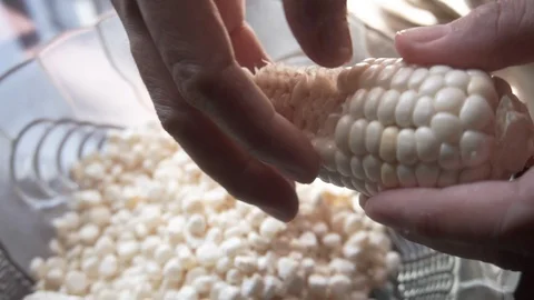 Closeup shot of shredding corn kernels into a bowl Stock-Footage 112754734