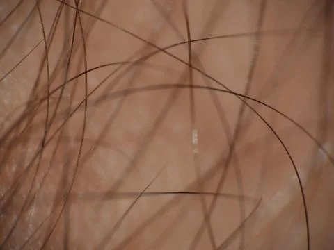 Closeup shot of small lines in a patterned shape on a brown background Stock Photos