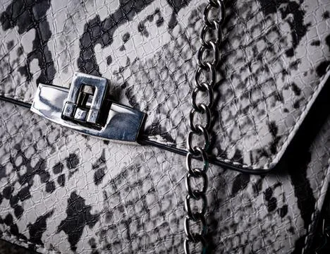 Closeup shot of a snake pattern handbag Stock Photos