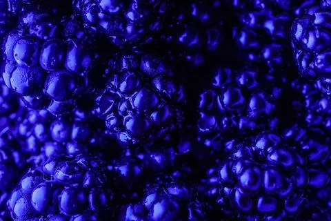 Closeup shot of a stack of blackberries Stock Photos