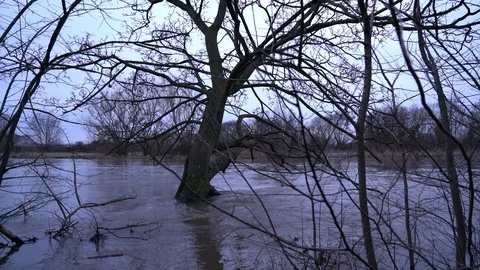 Closeup shot of tree being lost to flooding of Staffordshire March 2018, UK, 4k Stock Footage 87142365