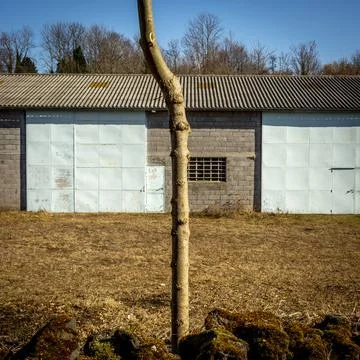 A closeup shot of tree trunk in front of a Shed for animals with a tile roof  Stock Photos