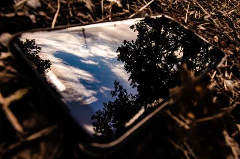 Closeup shot of trees reflection on a smartphone screen Stock Photos