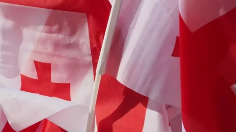 Closeup shot of waving multiple Georgian flags Vidéo 310307354