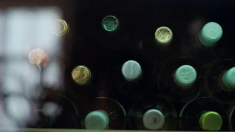 Closeup Shot: a Wine Bottle in the Fridge in Bar Video stock 76567519