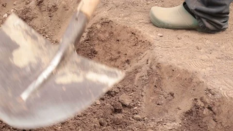 Closeup of shovel digging earth Stock Footage 128430495