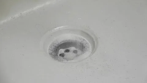 Closeup of shower drain, pouring pipe cleaner granules. Stock Footage 242154265