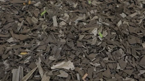 Closeup of shredded recycled plastic flakes from grinding process Stock Footage 337582200
