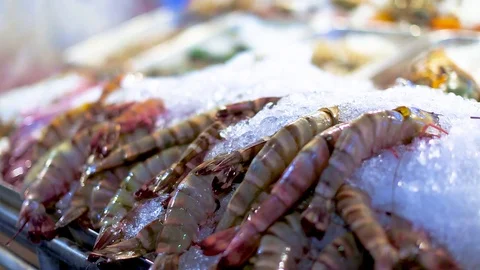 Closeup shrimps and prawns market sea food Stock Footage