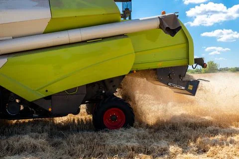 Closeup side view Big powerful industrial combine harvester machine reaping Foto stock