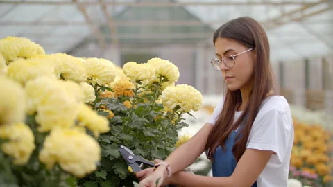 Closeup Side View Of Young Happy Woman Gardener Cutting Flower For A Bouquet Stock Footage 143485907