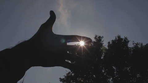 Closeup silhouette of hands on sky background. Hand to sun. 4k video Stock Footage 117186687