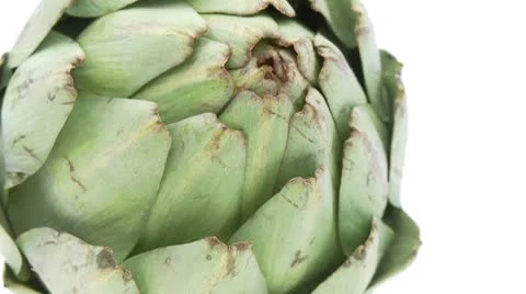 Closeup of single artichoke on white background Stock Footage 8974471