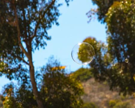 Closeup of single bubble floating in background of trees and blue sky Stock Photos