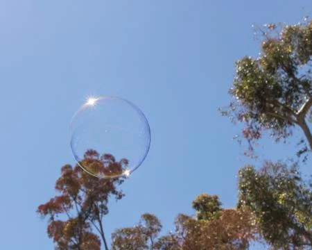 Closeup of single bubble floating in background of palm trees and blue sky Stock Photos