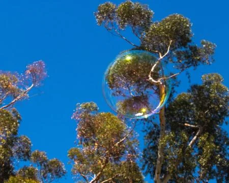 Closeup of single bubble floating in background of palm trees and blue sky Stock Photos
