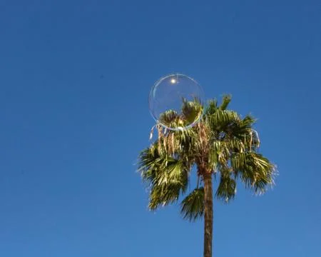 Closeup of single bubble floating in background of palm tree and blue sky Stock Photos