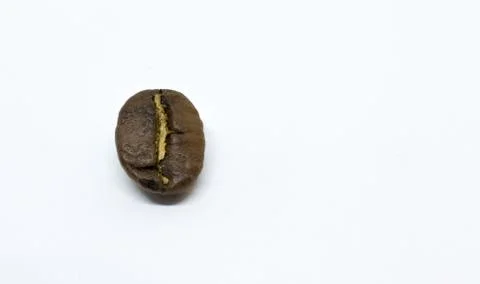 Closeup of Single Coffee Bean on White Background Stock Photos
