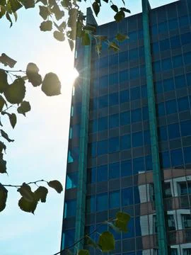 Closeup of a skyscraper with the sun in the background scratching the edge .. 스톡 사진