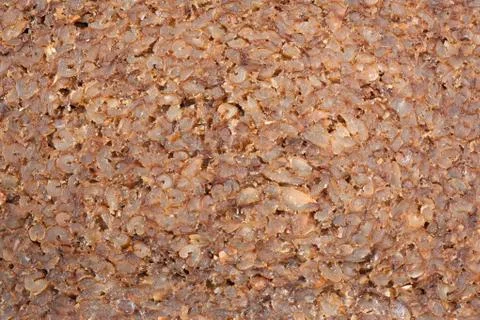 Closeup of slice of brown rye bread Foto stock