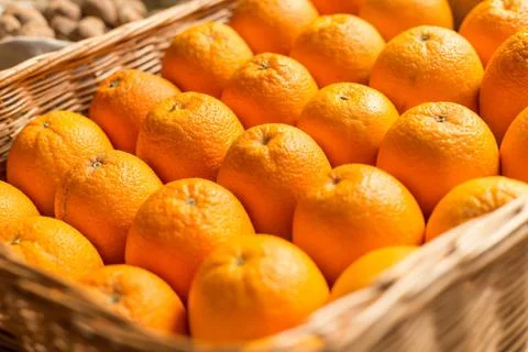 Closeup of sliced oranges Stock Photos
