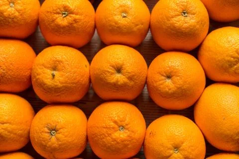 Closeup of sliced oranges Stock Photos