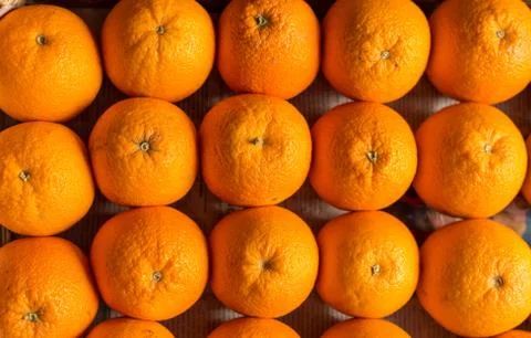 Closeup of sliced oranges Stock Photos