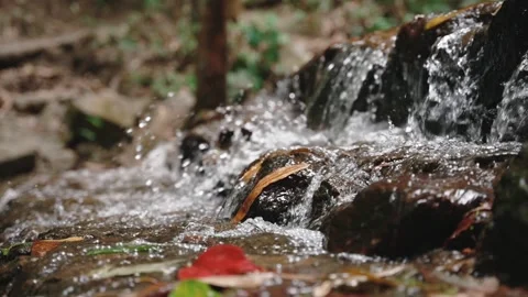 Closeup slow motion of cascade river water splashing over stones in wild autumn Stock Footage 309273017